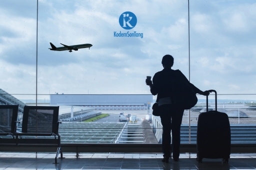 Domestic Travel for Foreign Nationals with Green Cards or Visas - What to Carry Before You Fly